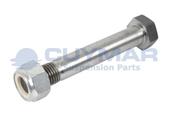 Screw (2913143)