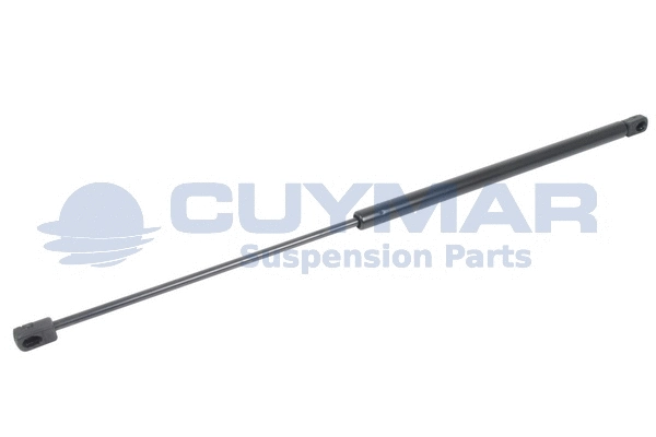 Gas Spring, bonnet (4208500)