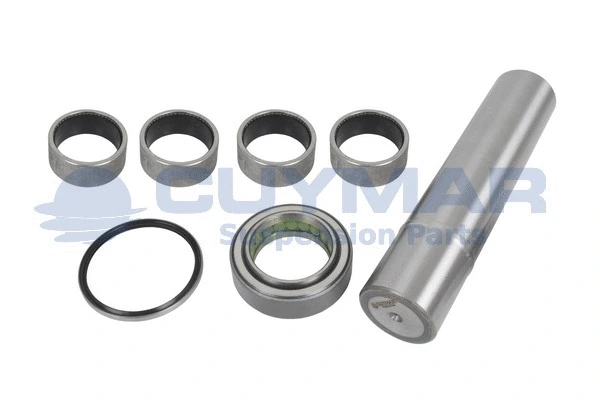 Repair Kit, kingpin (5908619)