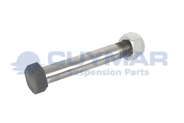 Screw (2910170)