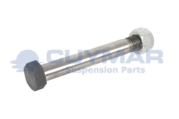 Screw (2913146)