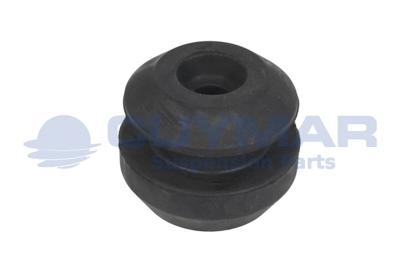 Mounting, engine (1107341)