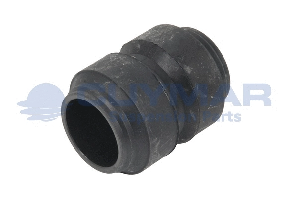 Bushing, leaf spring (3821001)