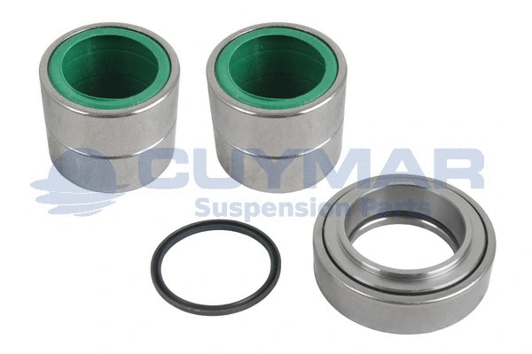 Repair Kit, kingpin (5908719)