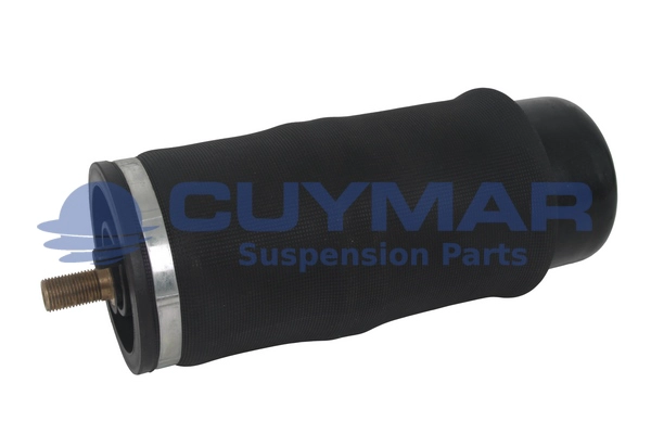 Bellow, driver cab suspension (4202021)