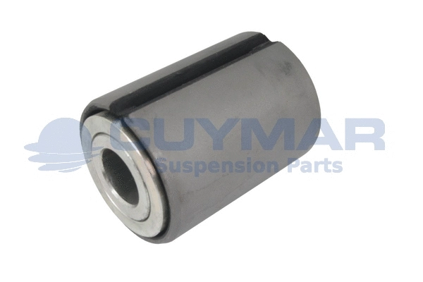 Bushing, leaf spring (3808764)