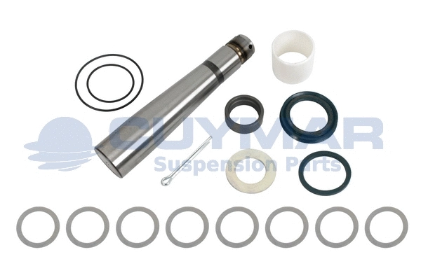 Repair Kit, kingpin (5912003)