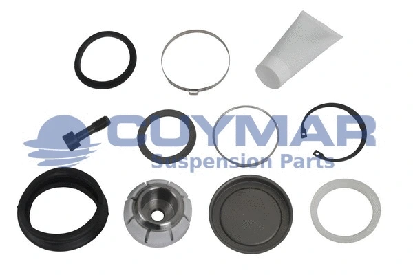 Repair Kit, control/trailing arm (4905956)