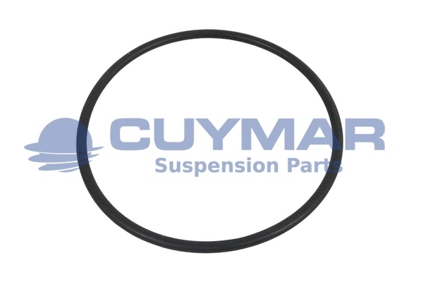 Seal Ring, wheel hub (3408848)