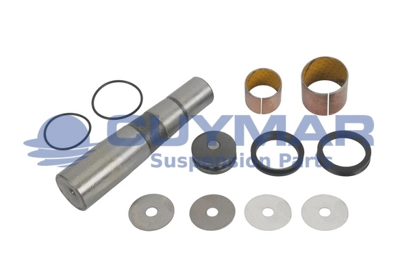 Repair Kit, kingpin (5903705)