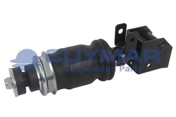 Shock Absorber, driver cab suspension (4202016)