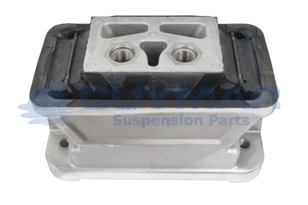 Mounting, engine (1108418)