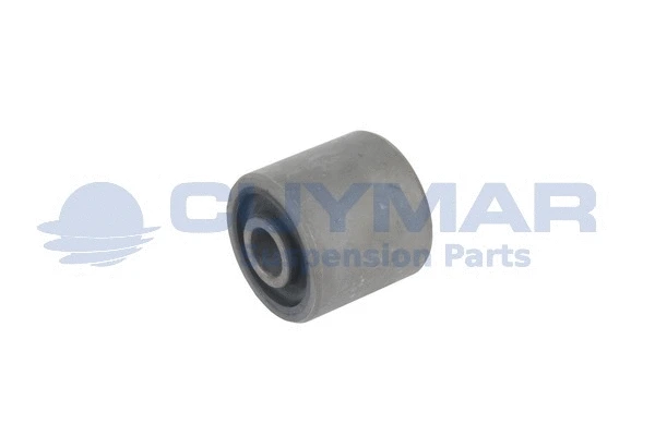 Bushing, stabiliser bar (4707022)