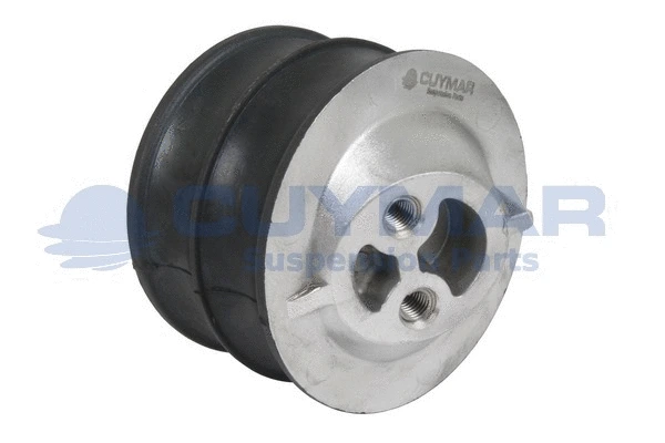 Mounting, engine (1110868)