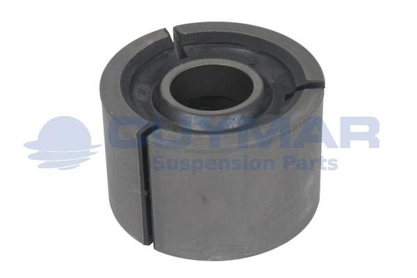 Mounting, control/trailing arm (4910020)