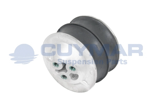 Mounting, engine (1110749)