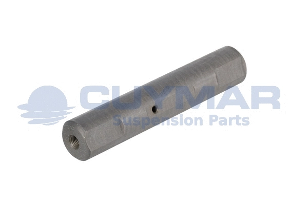 Spring Bolt (0203304)