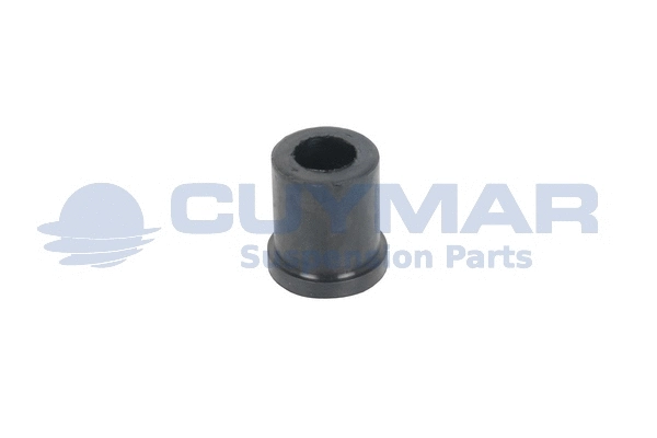 Bushing, leaf spring (3821009)