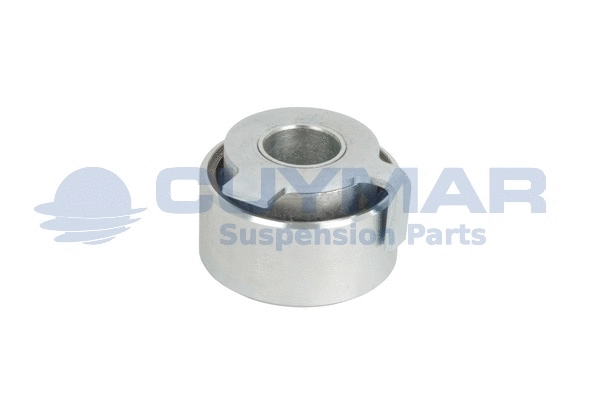 Bushing, leaf spring (3802500)