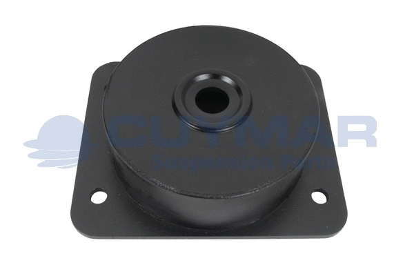 Mounting, engine (1112976)