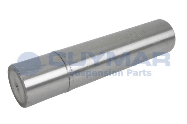 Repair Kit, kingpin (5908406)