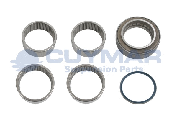 Repair Kit, kingpin (5908218)