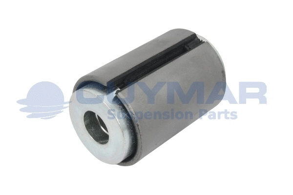 Bushing, leaf spring (3308105)