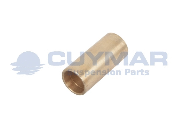 Bushing, leaf spring (0308038)