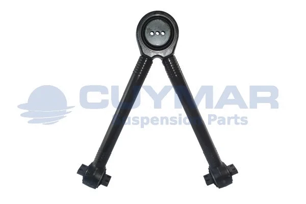 Control/Trailing Arm, wheel suspension (4912291)