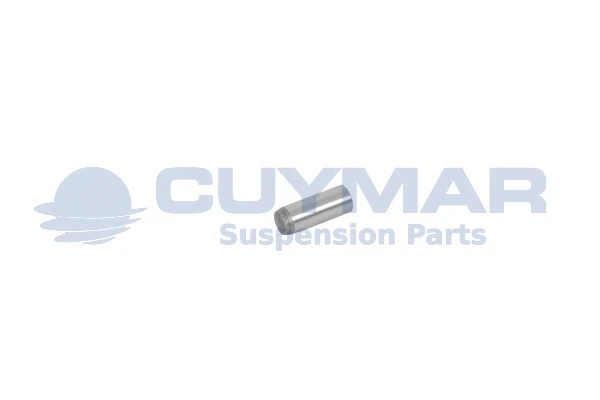 Grooved Pin (96301720)