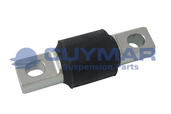 Bush, spring eye (3803103)