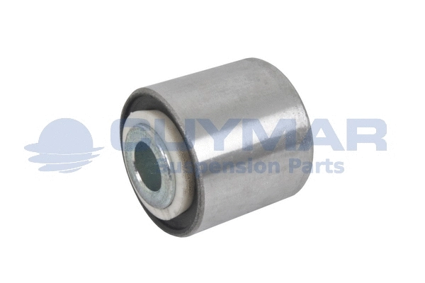 Bushing, stabiliser bar (4705279)