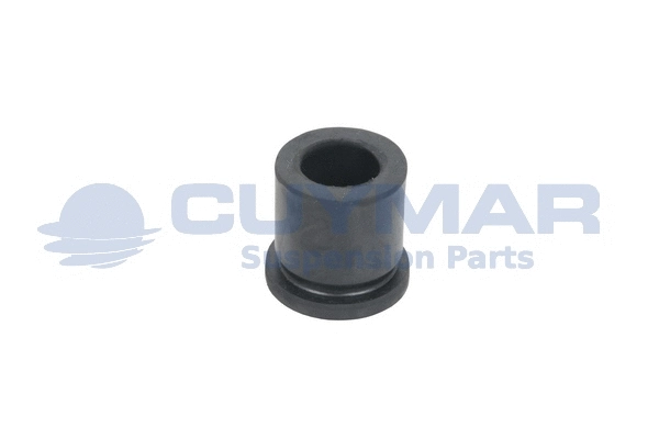 Bushing, leaf spring (3604004)