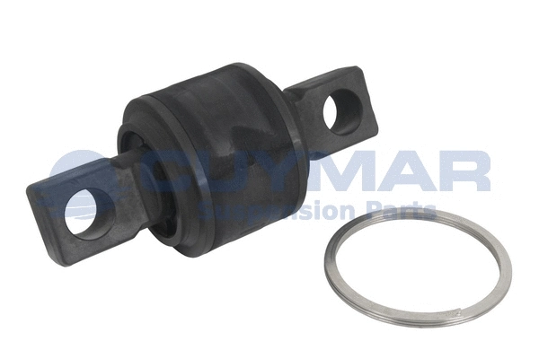 Repair Kit, control/trailing arm (4908506)