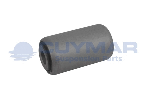 Bushing, leaf spring (3803107)