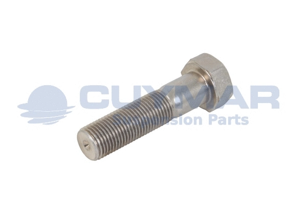Fastening Bolt, stabiliser bar (3407508)