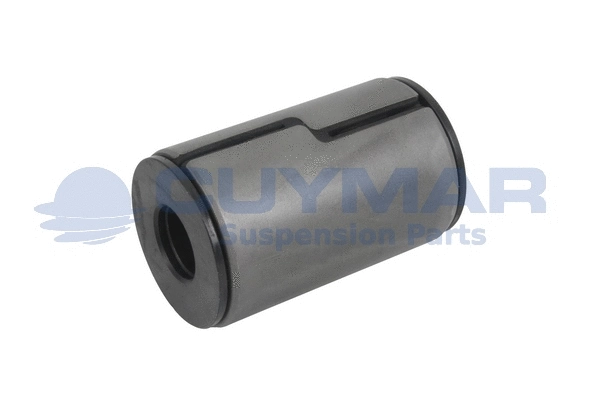 Bushing, leaf spring (3810850)