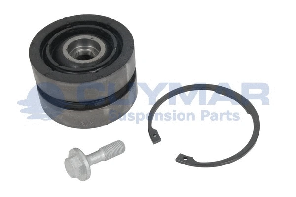 Repair Kit, control/trailing arm (4908705)