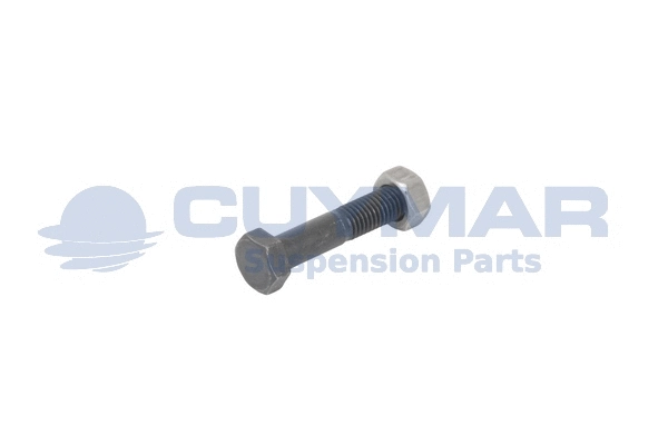 Fastening Bolt, stabiliser bar (9311206088)