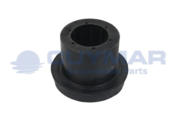 Mounting, control/trailing arm (3734475)