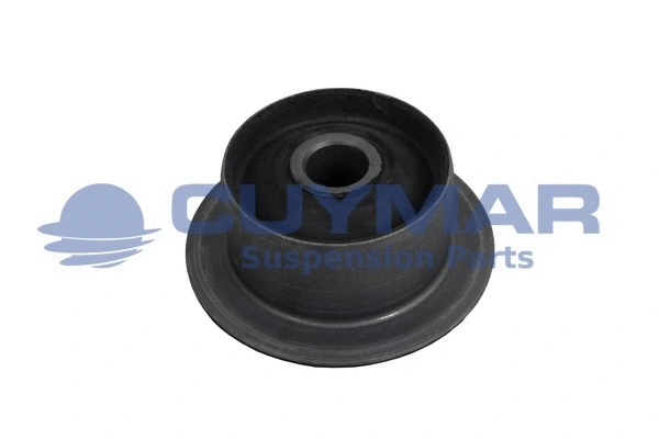 Bushing, leaf spring (3825005)