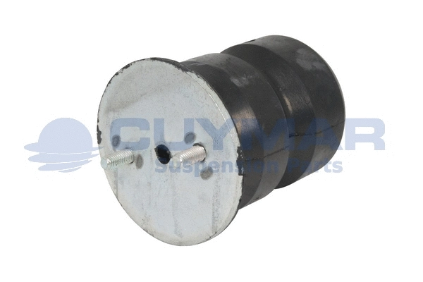 Rubber Buffer, suspension (4805408)
