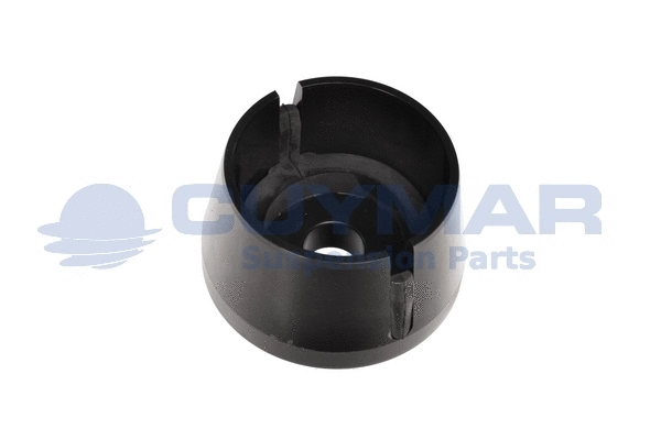 Bushing, leaf spring hanger (3412103)