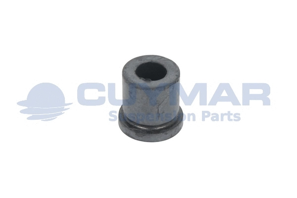 Bushing, leaf spring (3604002)