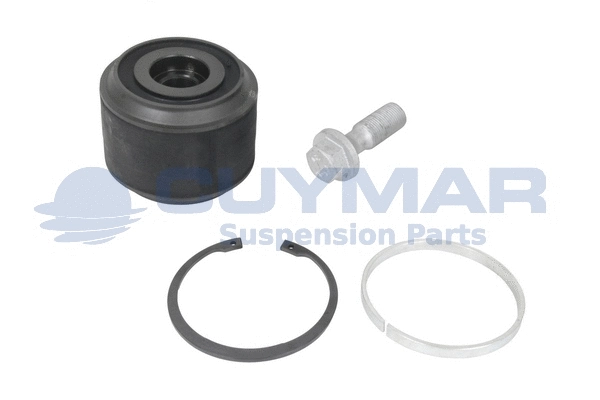 Repair Kit, control/trailing arm (4908905)