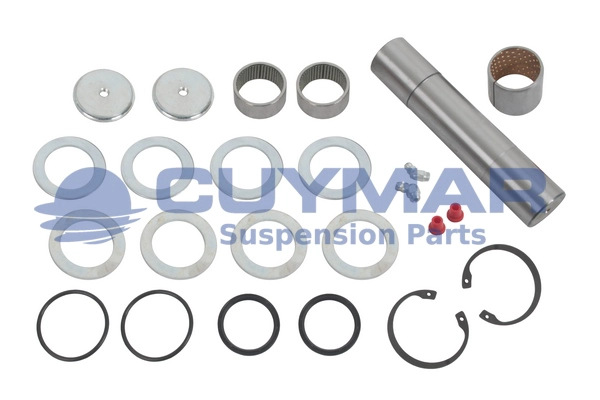 Repair Kit, kingpin (5907025)