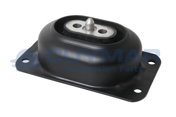 Mounting, engine (1102004)