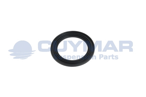 Seal Ring, driver cab stabiliser (4203159)