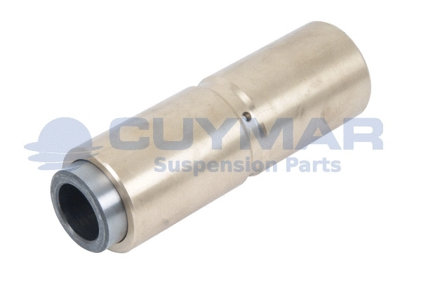 Bushing, leaf spring (0308074)