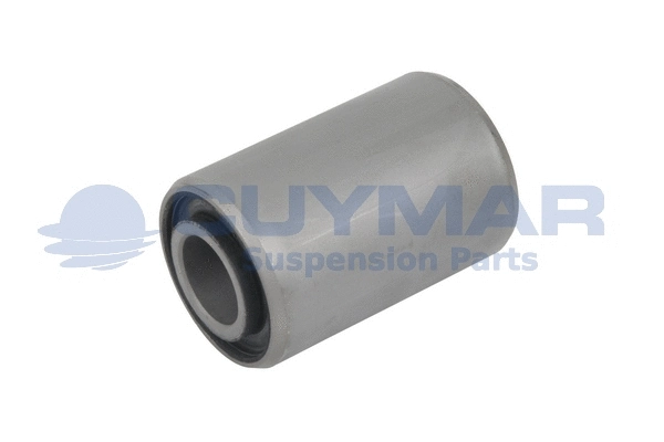 Bushing, leaf spring (3816010)